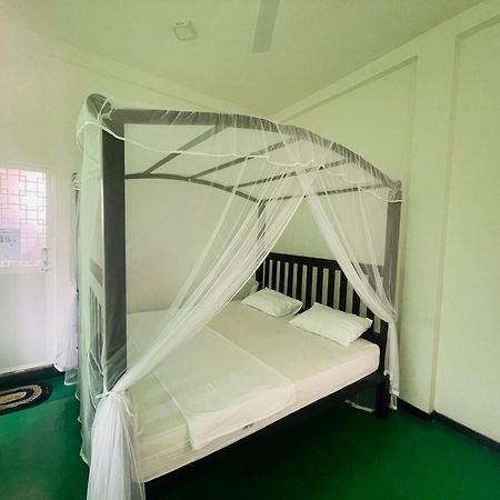 Why Not Backpackers Hostel Mirissa Bagian luar foto