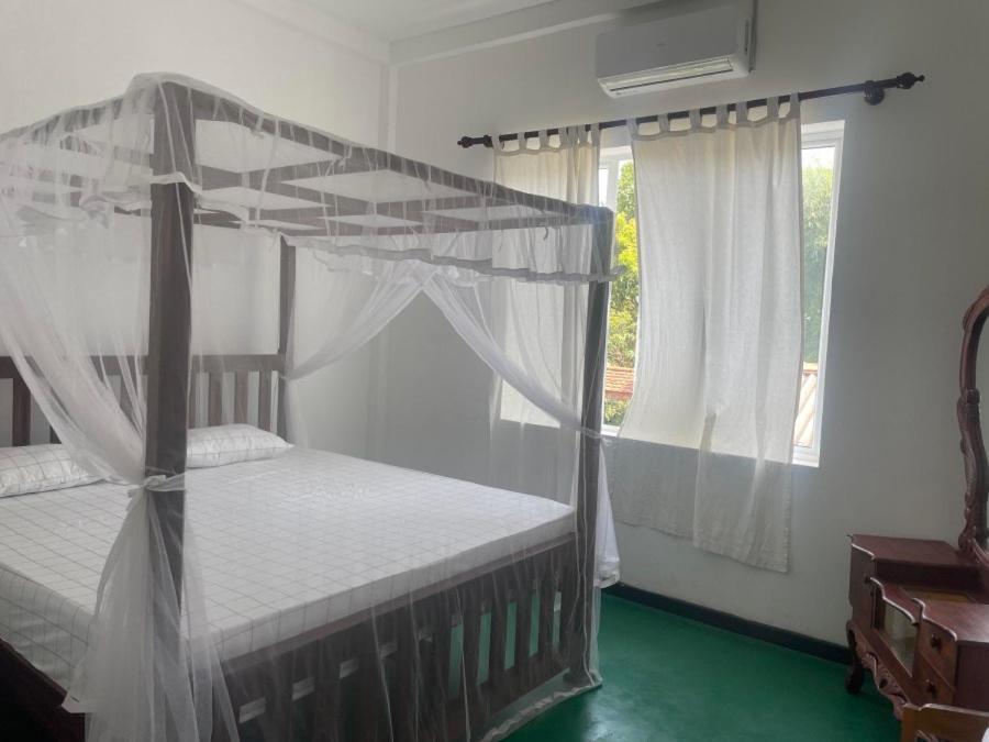 Why Not Backpackers Hostel Mirissa Bagian luar foto