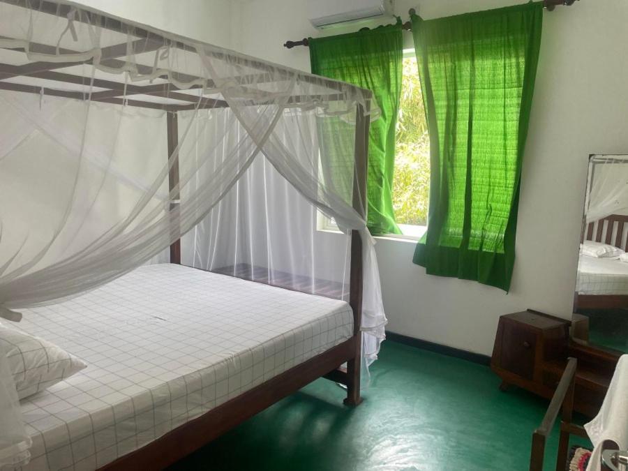 Why Not Backpackers Hostel Mirissa Bagian luar foto