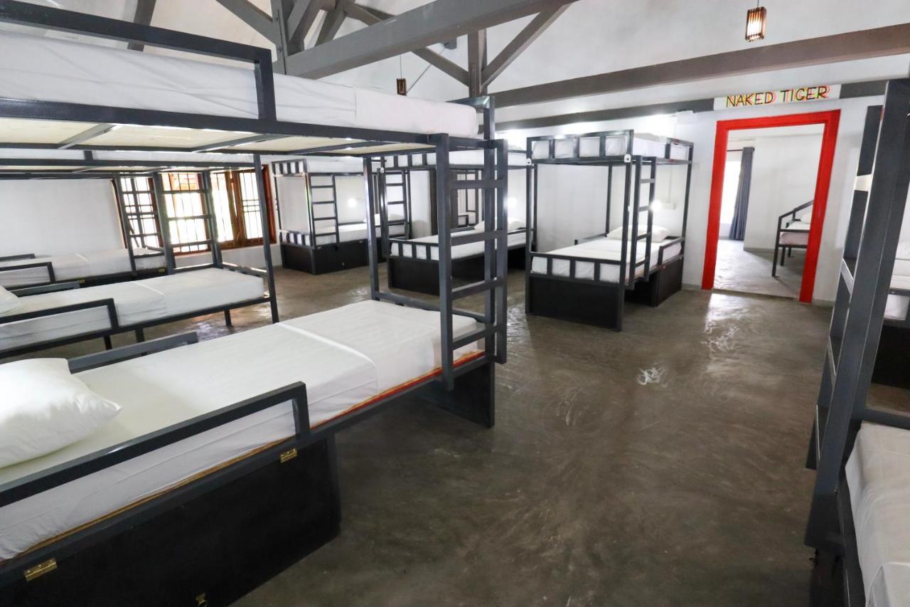 Why Not Backpackers Hostel Mirissa Bagian luar foto