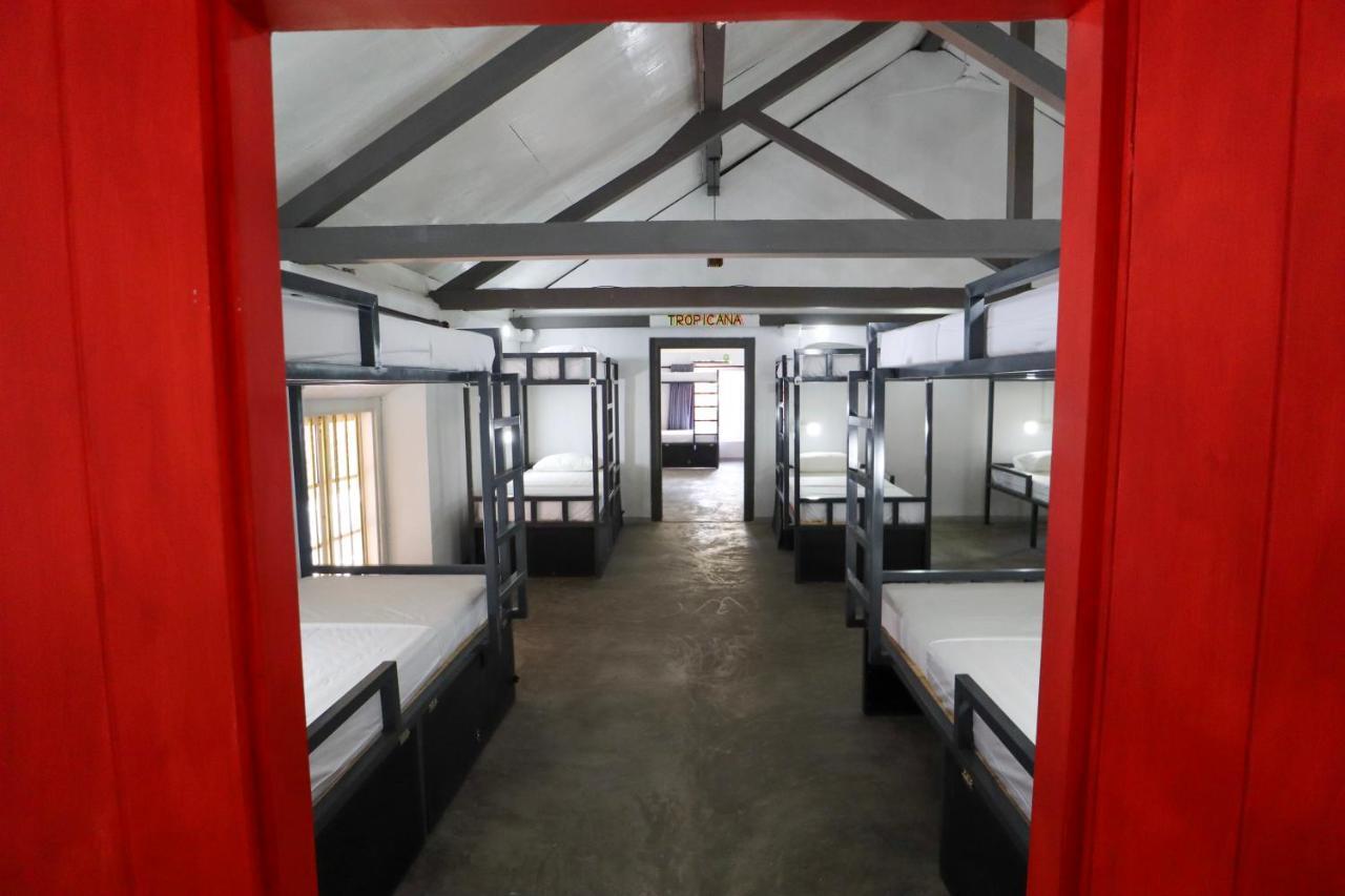 Why Not Backpackers Hostel Mirissa Bagian luar foto