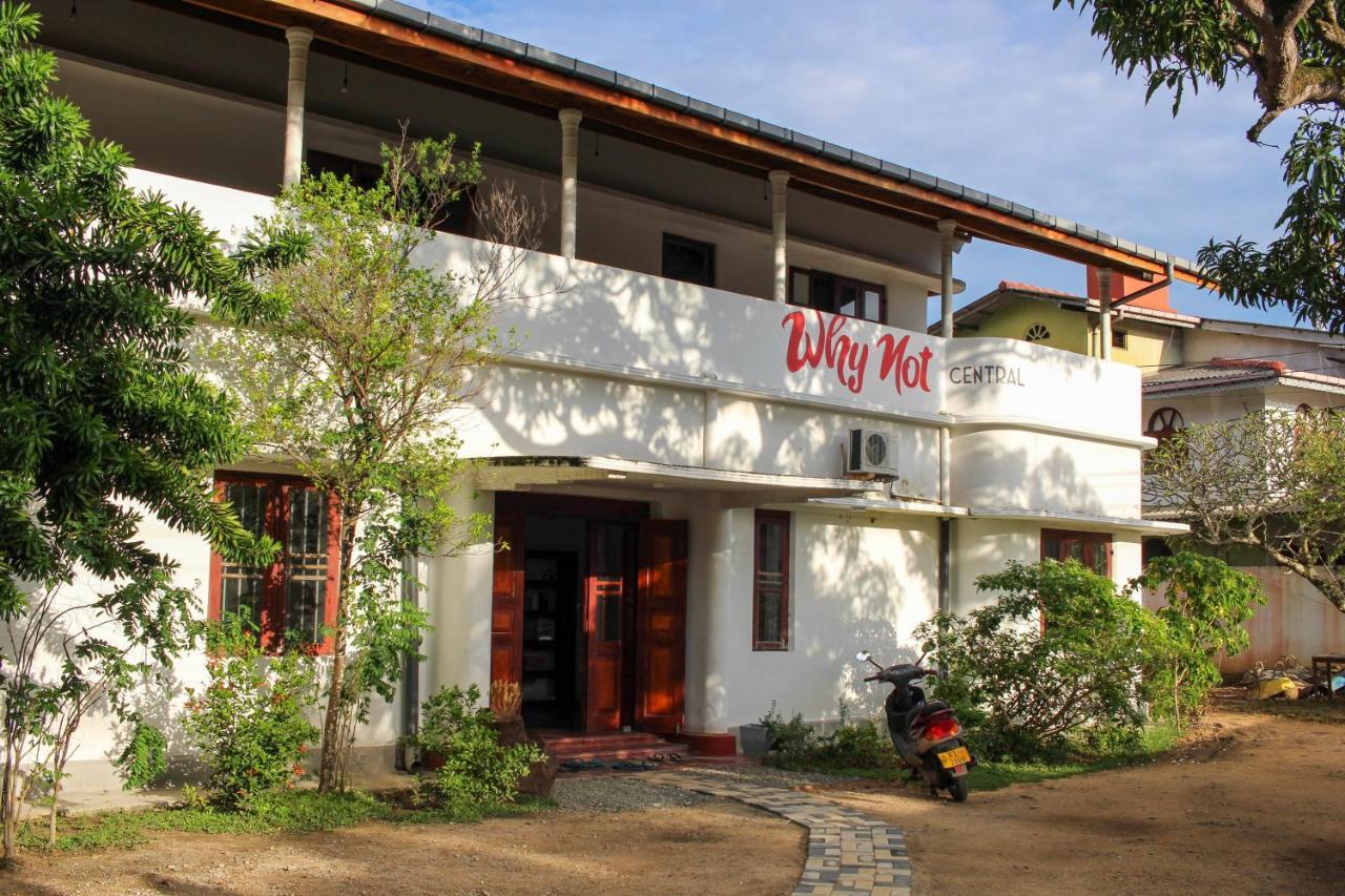 Why Not Backpackers Hostel Mirissa Bagian luar foto