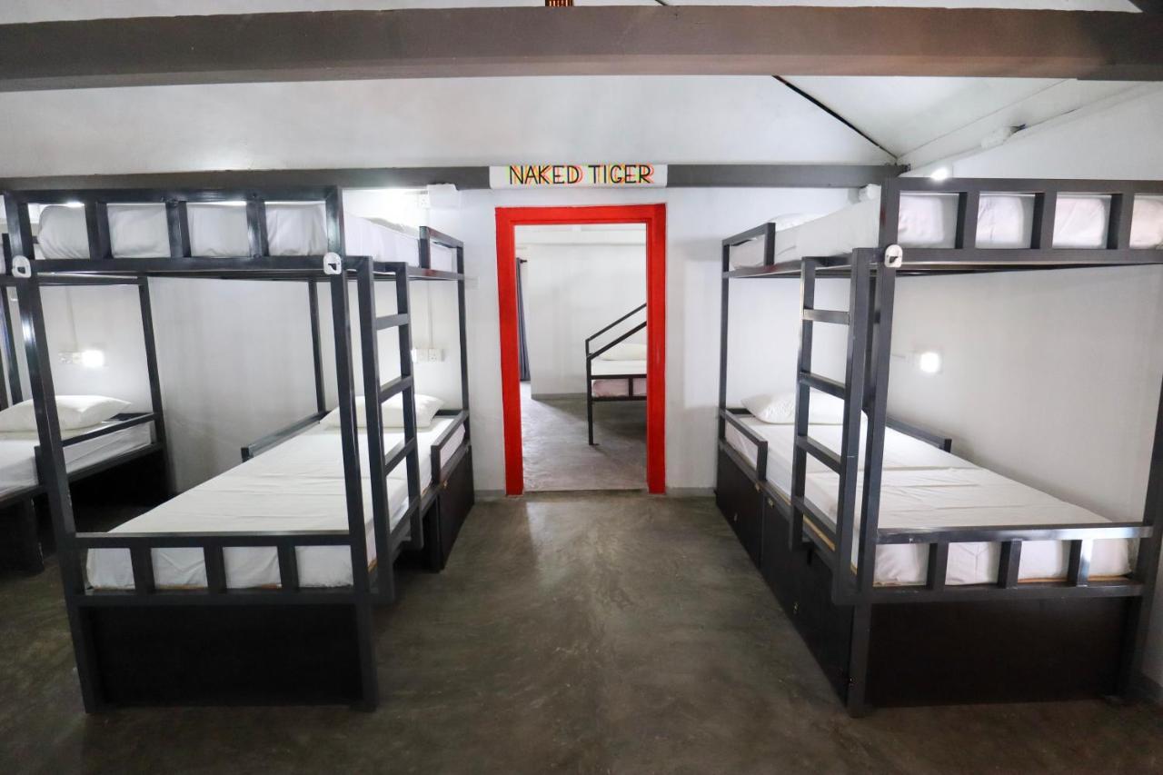 Why Not Backpackers Hostel Mirissa Bagian luar foto